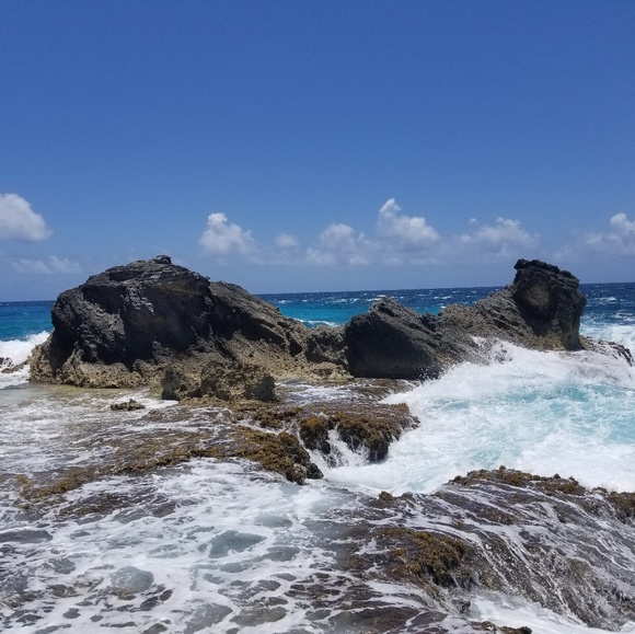 Meet your Posher, Eli - Picture 1 of 1